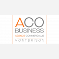 ACO Business